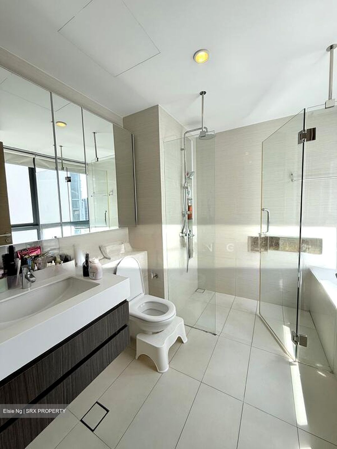 The Palette (D18), Condominium #502483101